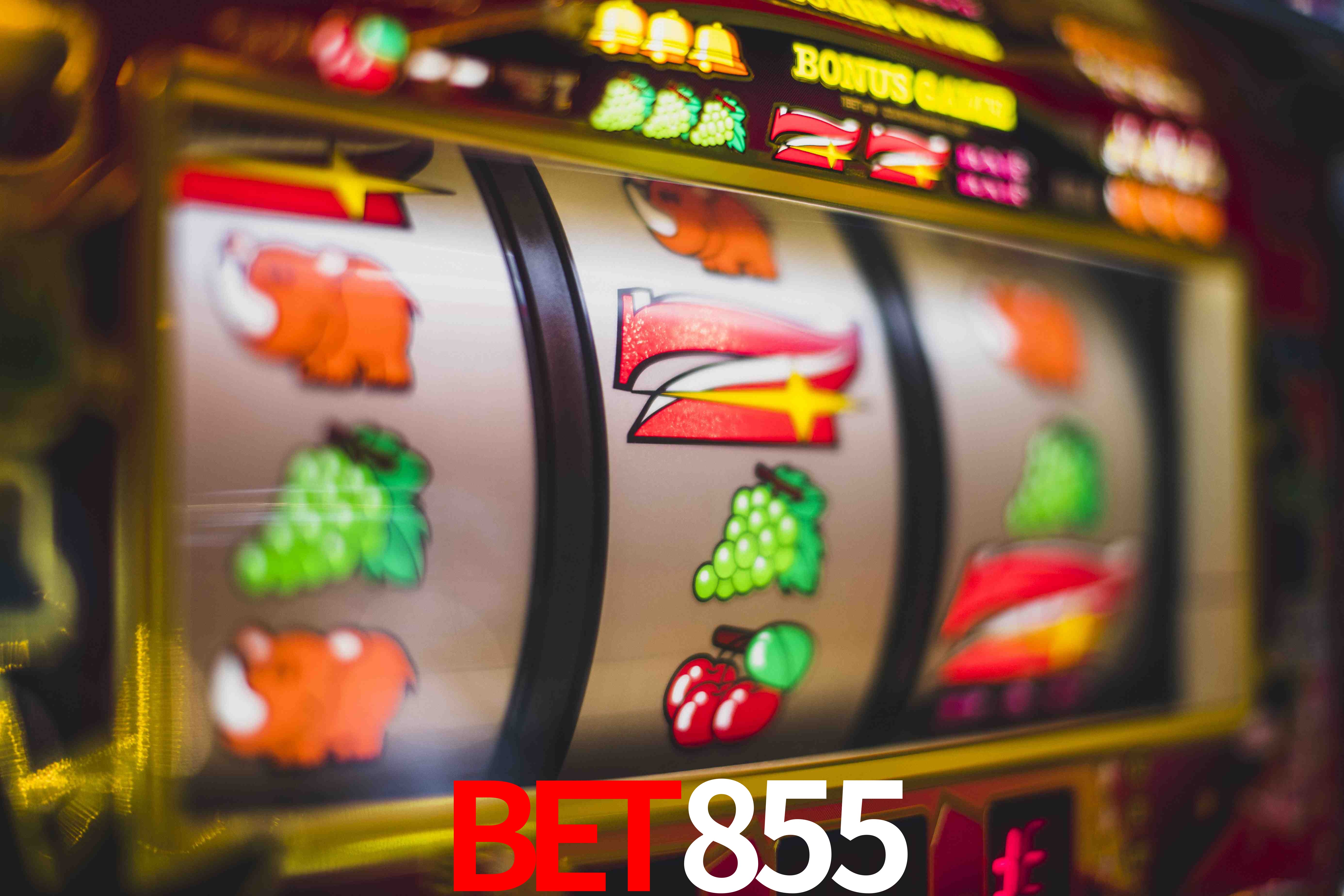 Basketball Betting BET855